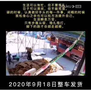 牛肉汤专用红薯粉丝2020年9月18日整车发货监控实时视频