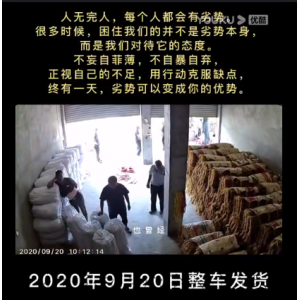 颍上县洪华粉丝厂，牛肉汤红薯粉丝，2020年9月20号整车发